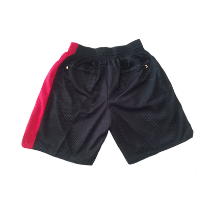Trailblazers Vintage Shorts