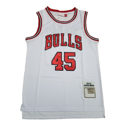 Bulls Vintage Jersey - Jordan/45